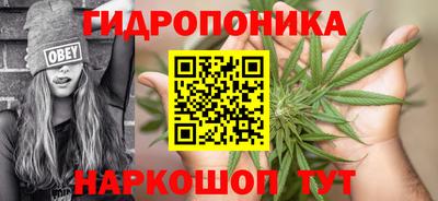 каннабис Аргун