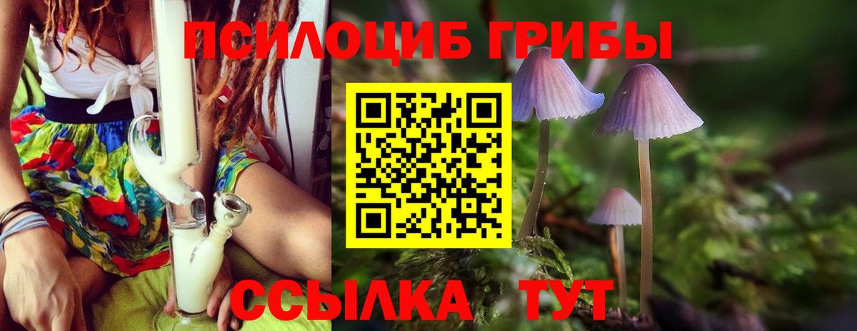 Галлюциногенные грибы GOLDEN TEACHER  Вход с VPN  Псилоцибиновые грибы Psilocybe  Большой Камень 