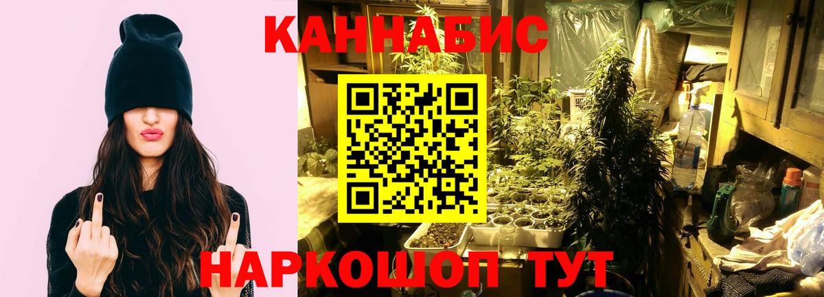 Канабис SATIVA & INDICA  МАРИХУАНА индика  Вход с VPN  Большой Камень  Бошки Шишки OG Kush 